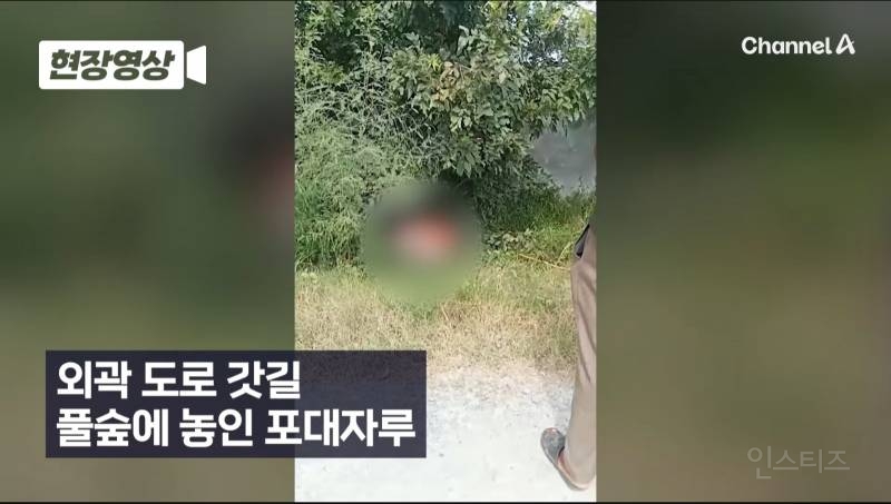 캄보디아서 또... 포대자루 담긴 동양인 시신 2구 발견 | 인스티즈
