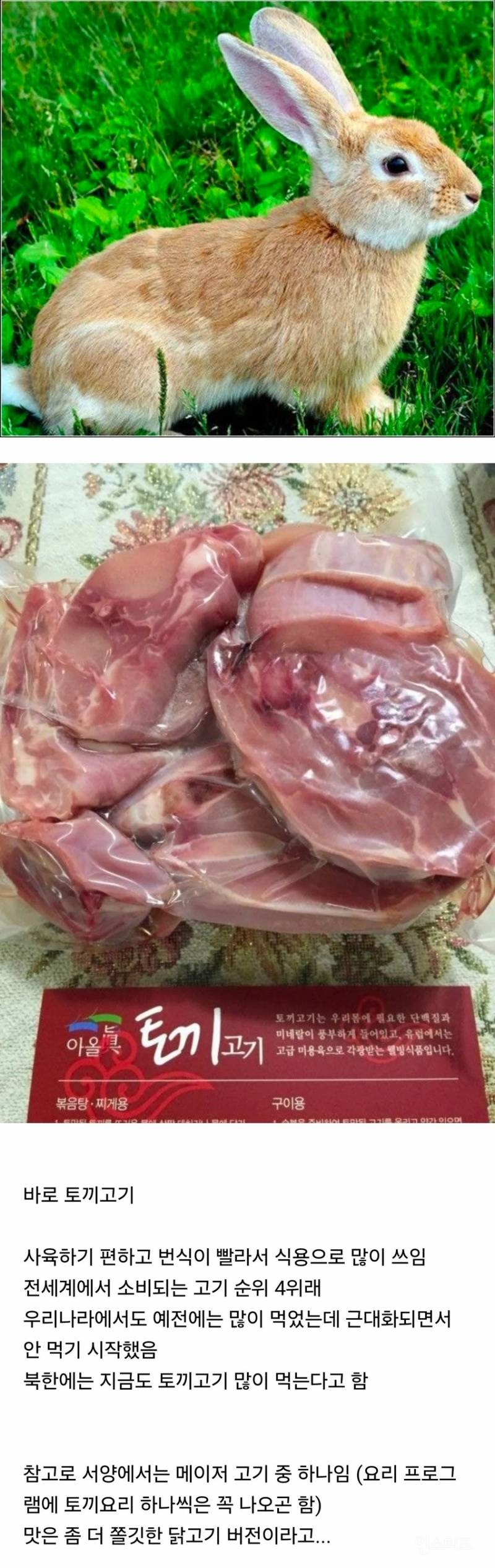 외국과 다르게 우리나라 사람들이 잘 안 먹는 동물 | 인스티즈