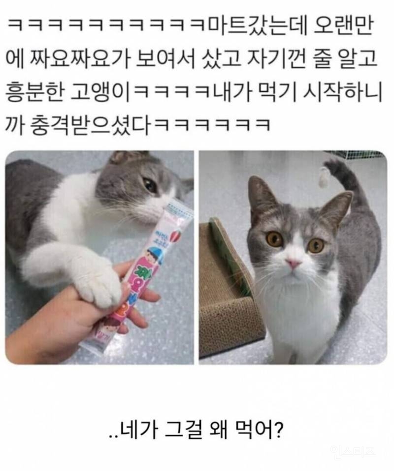 니가 그걸 왜 먹어? | 인스티즈
