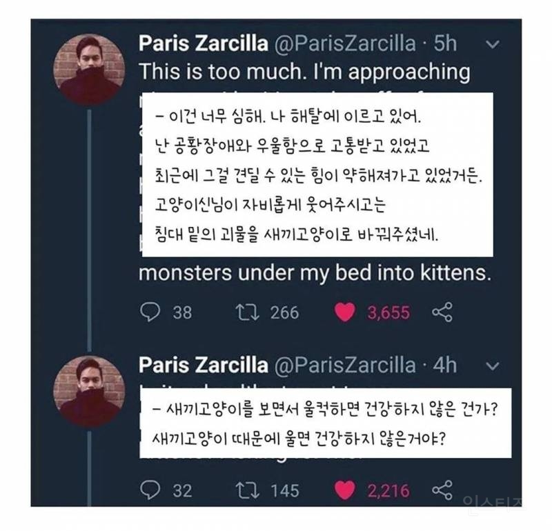 우울증 걸린 사람집에 고양이가 들어옴 | 인스티즈