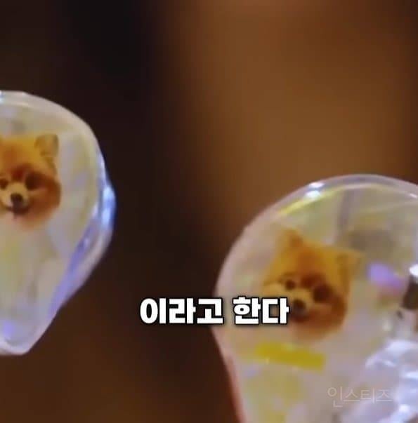 신기한 아이돌 인이어의 세계 | 인스티즈