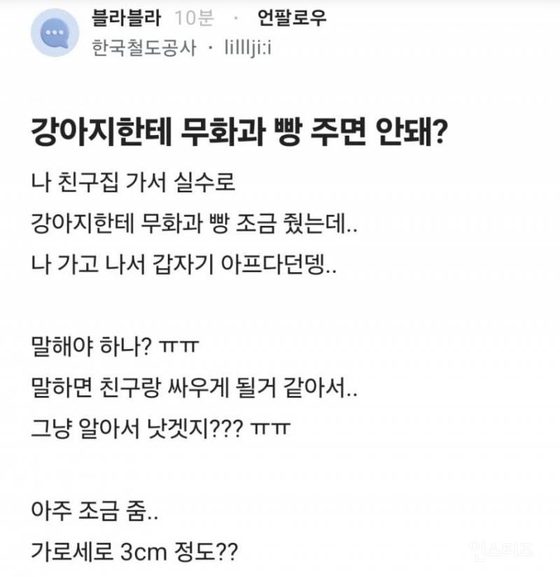 강아지한테 무화과 빵 주면 안돼? | 인스티즈