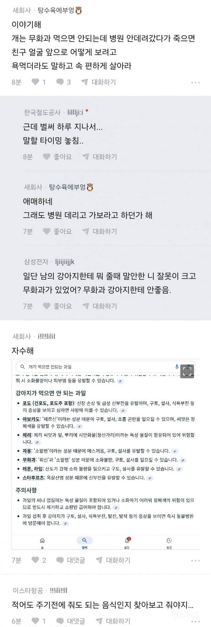 강아지한테 무화과 빵 주면 안돼? | 인스티즈
