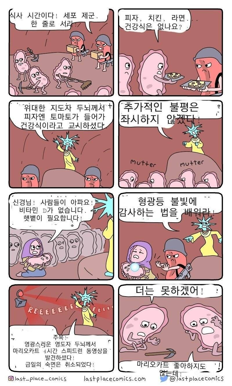 우리 몸에서 매일 일어나는 무서운 일 | 인스티즈