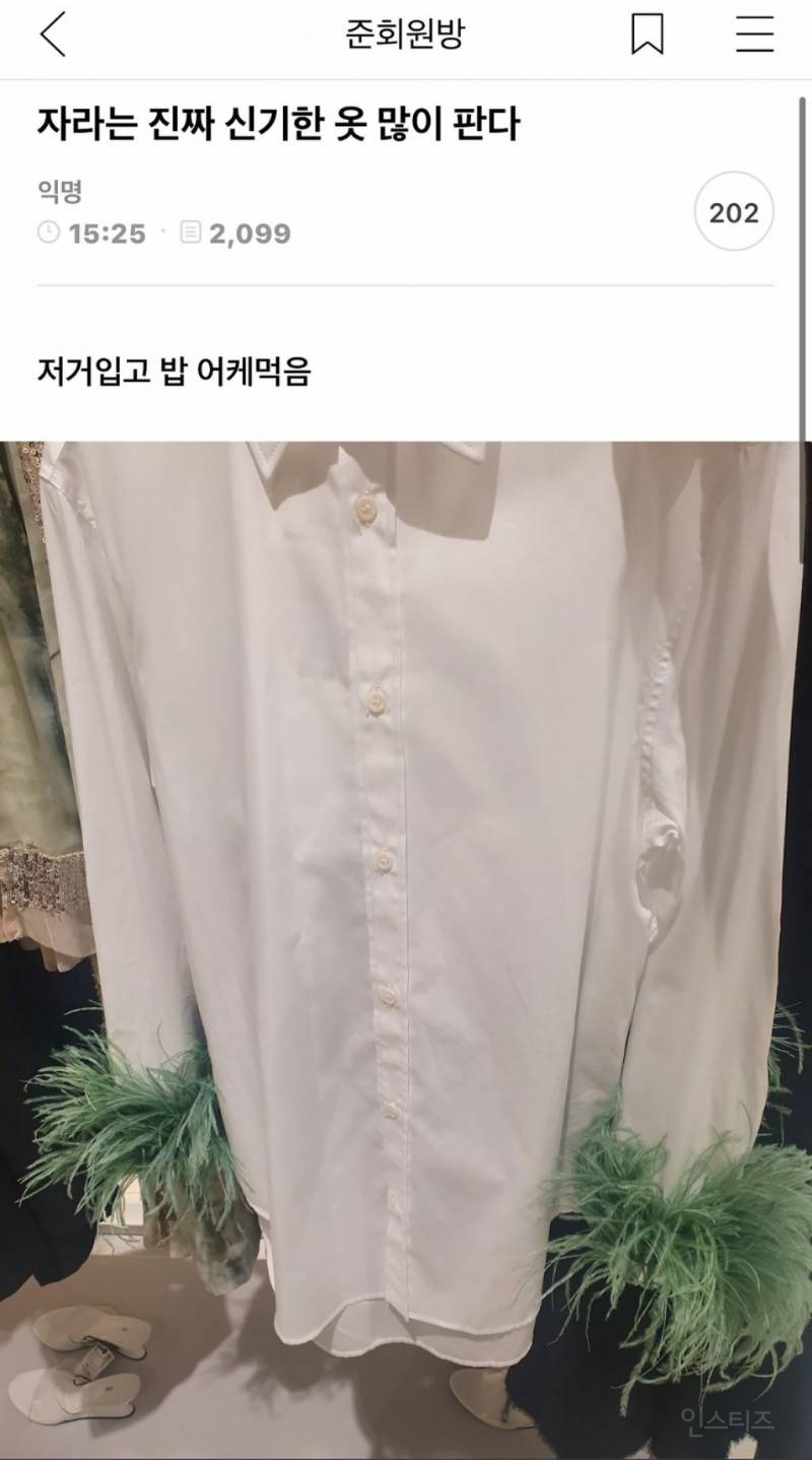자라는 진짜 신기한 옷 많이 판다 | 인스티즈