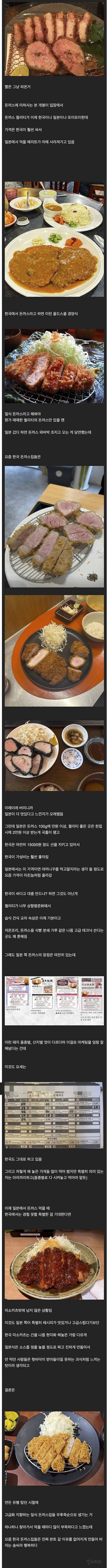 돈까스에 미친사람이 느낀 한국과 일본의 돈까스 차이 | 인스티즈