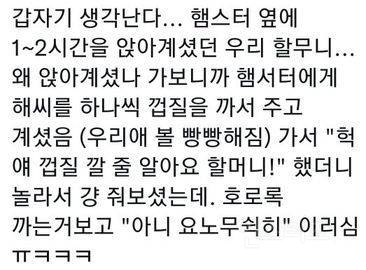 할머니께서 햄스터 옆에 앉아계셨던 이유 | 인스티즈