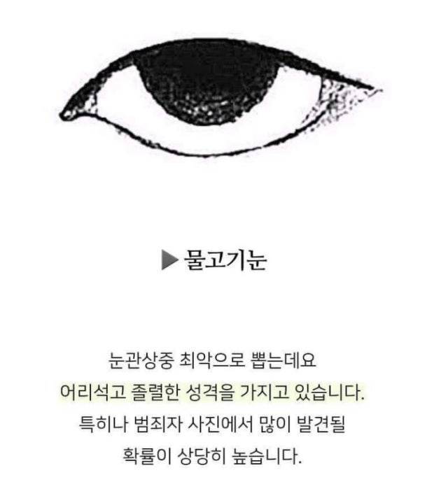 호감 있는 사람 물고기눈인데 | 인스티즈