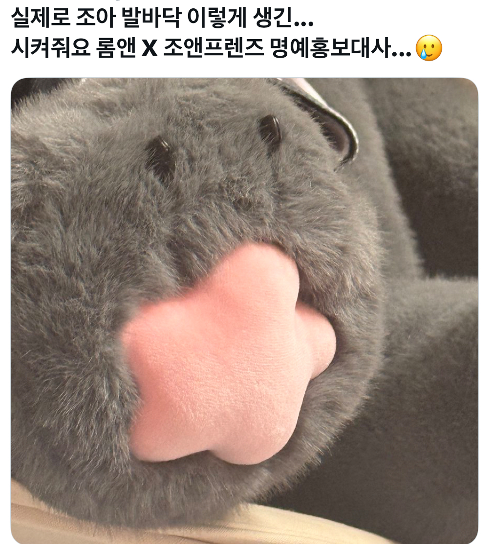 [정보/소식] 롬앤 X지디 조앤프렌즈 콜라보 실물 | 인스티즈