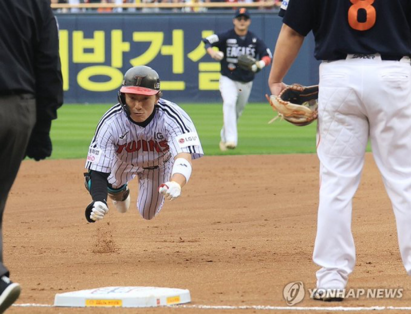 [잡담] 강아지 어질리티대회 사진 보는것 같음 | 인스티즈