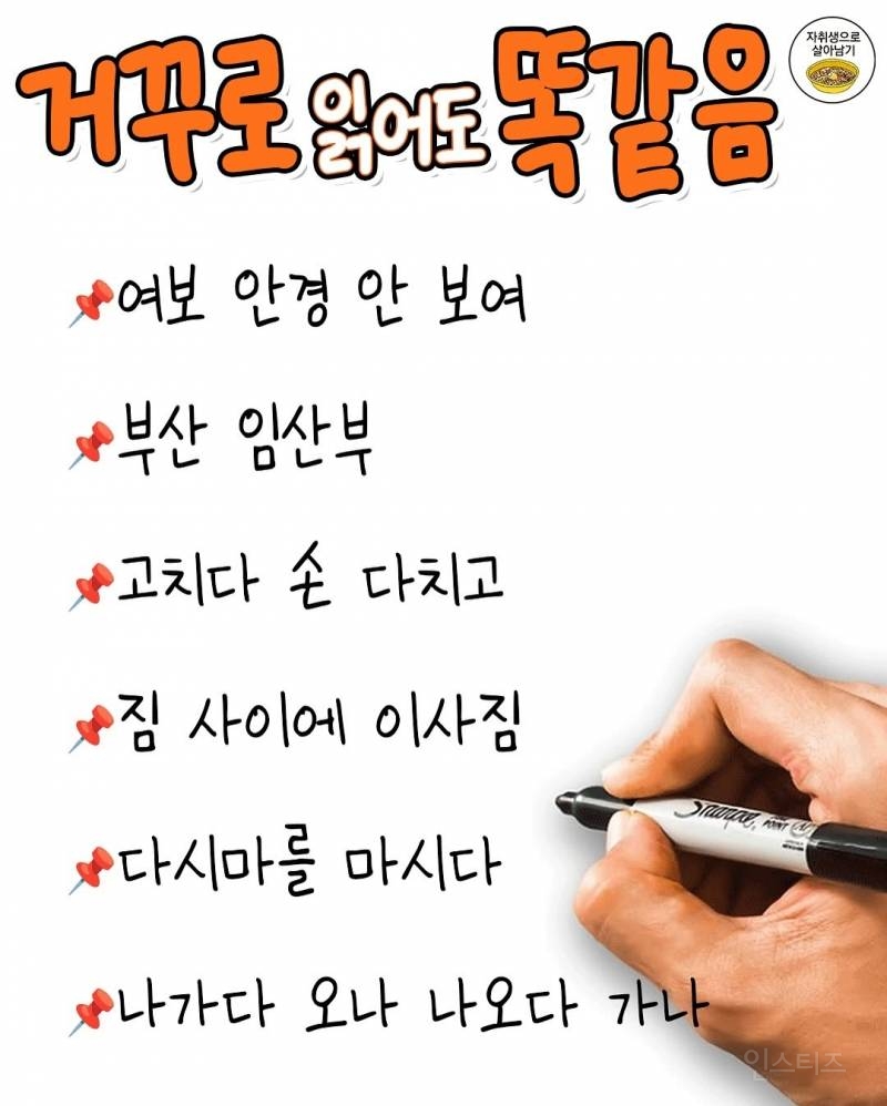거꾸로 읽어도 똑같음 | 인스티즈