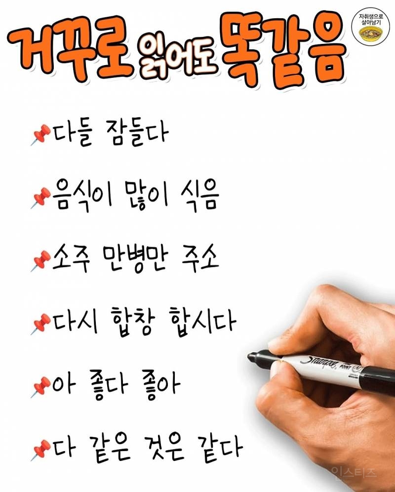 거꾸로 읽어도 똑같음 | 인스티즈
