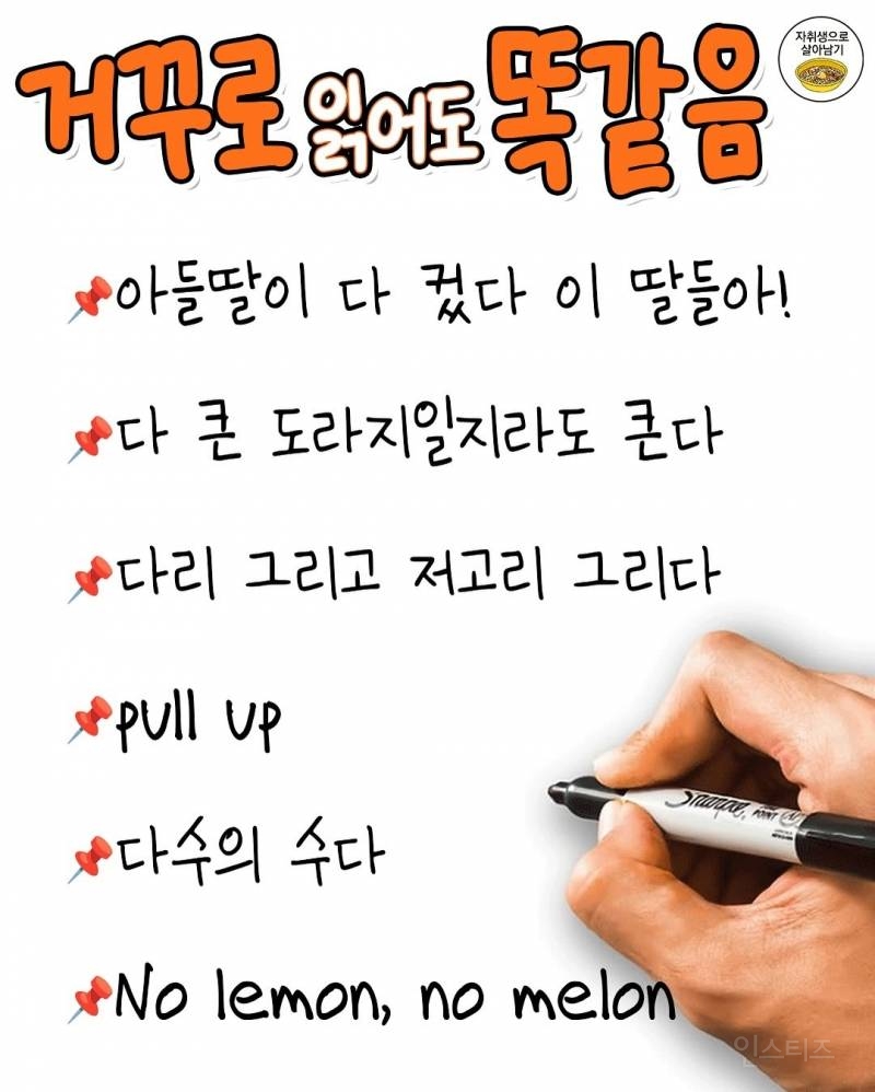 거꾸로 읽어도 똑같음 | 인스티즈