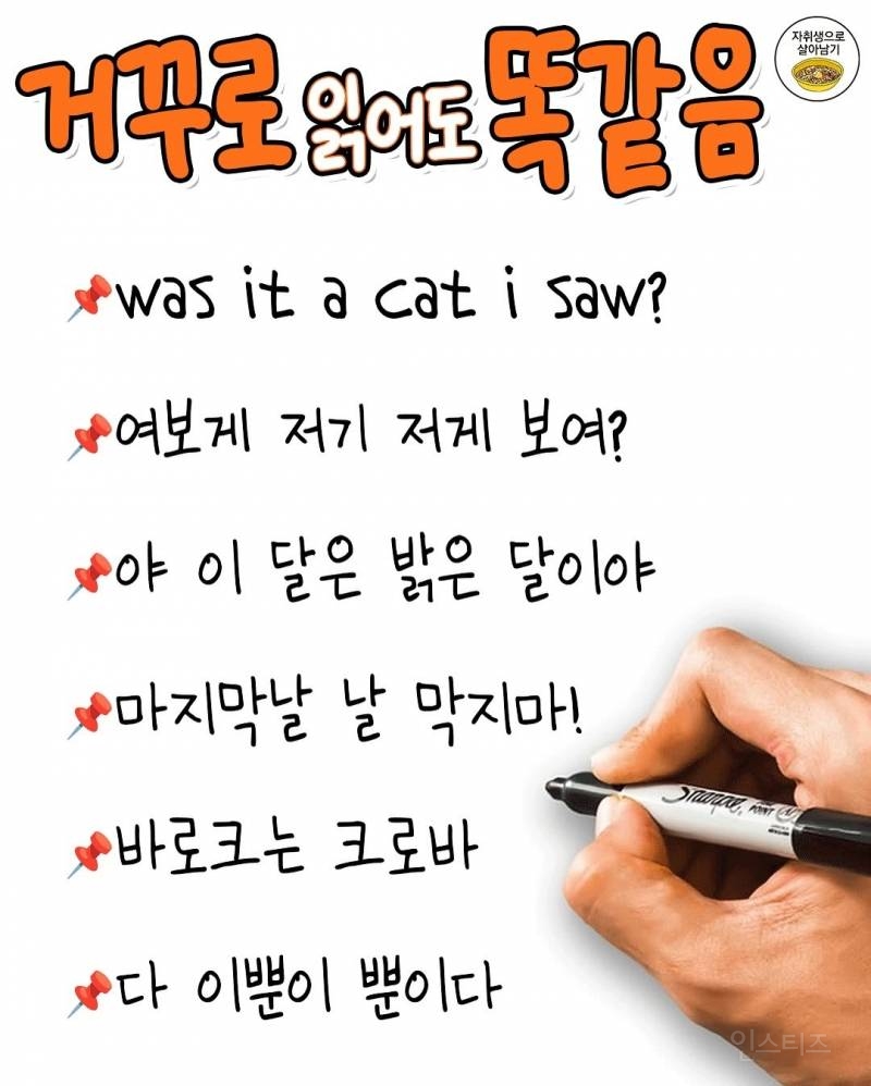 거꾸로 읽어도 똑같음 | 인스티즈