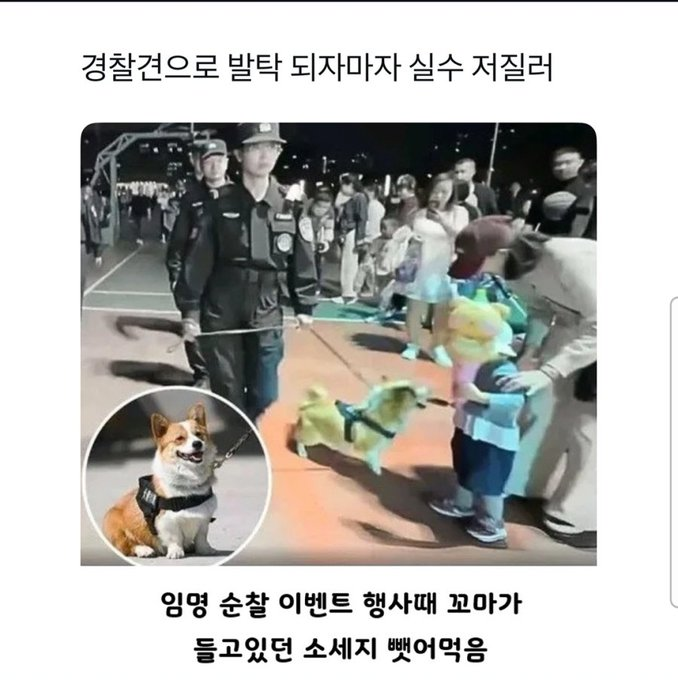 경찰견으로 발탁 되자마자 실수 저질러 | 인스티즈