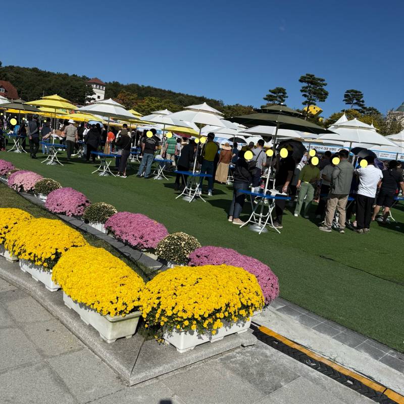 [잡담] 김천김밥축제 잘된거 보는데 생각난 최악의 지역축제 | 인스티즈