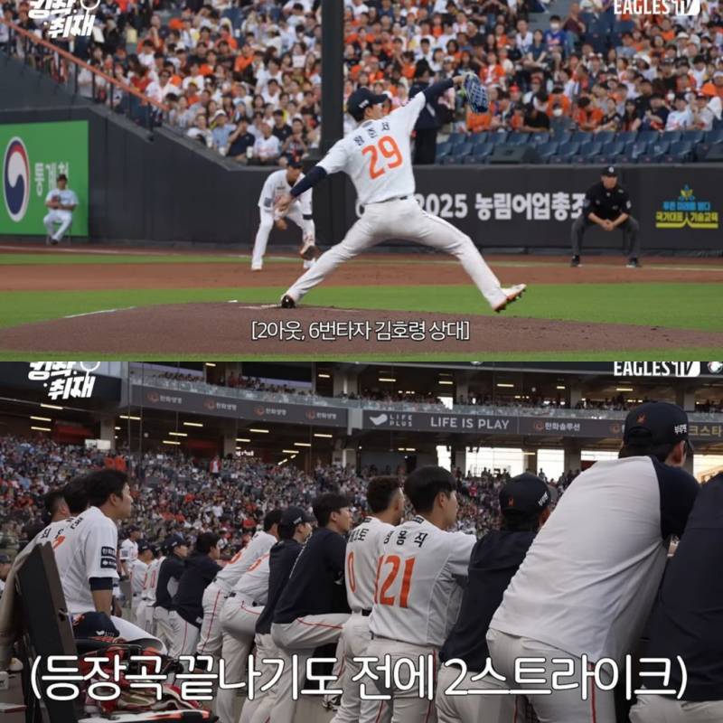 [정리글] 내가 인티에서 본 올해 한화 관련 사건 모음 | 인스티즈