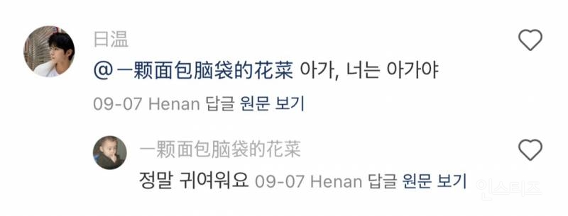 중국팬들의 이진이 주접 댓글.jpg | 인스티즈