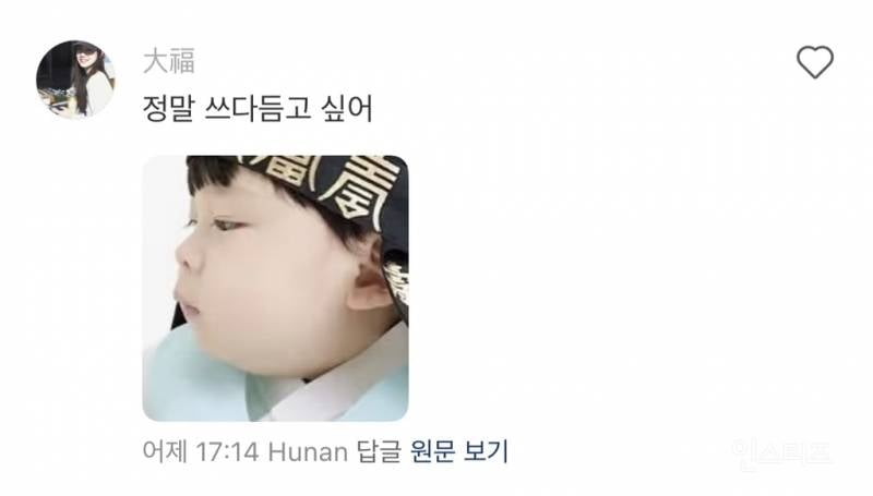 중국팬들의 이진이 주접 댓글.jpg | 인스티즈