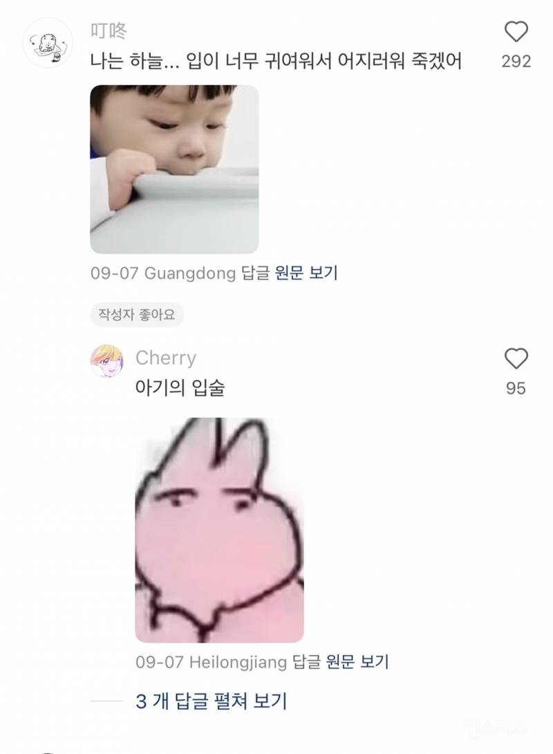 중국팬들의 이진이 주접 댓글.jpg | 인스티즈