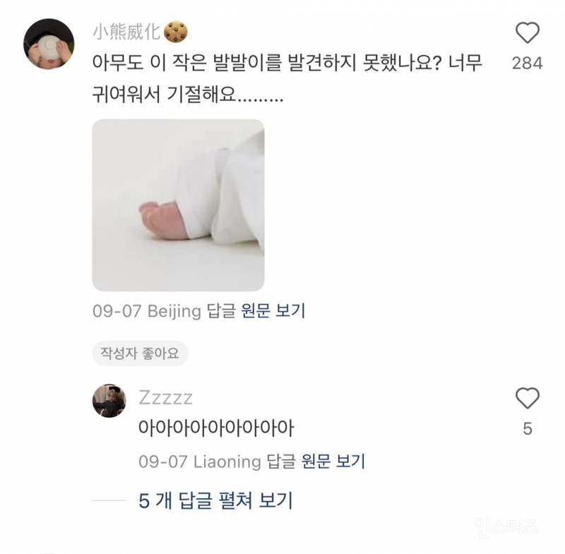 중국팬들의 이진이 주접 댓글.jpg | 인스티즈