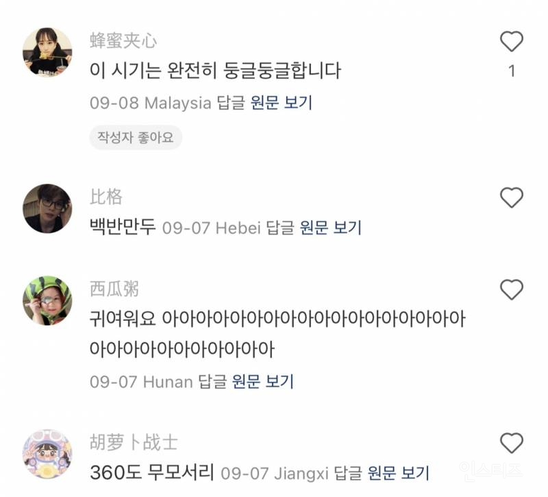 중국팬들의 이진이 주접 댓글.jpg | 인스티즈