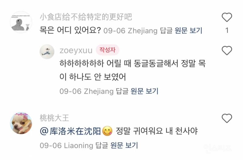 중국팬들의 이진이 주접 댓글.jpg | 인스티즈