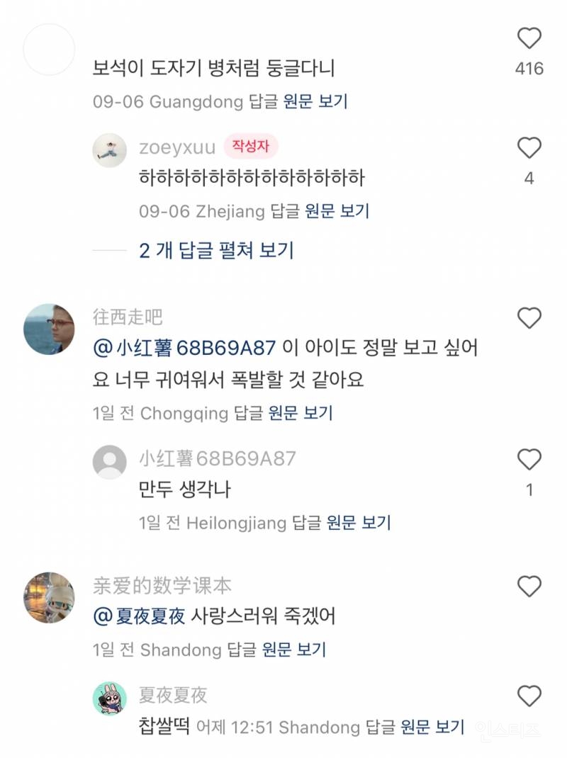 중국팬들의 이진이 주접 댓글.jpg | 인스티즈