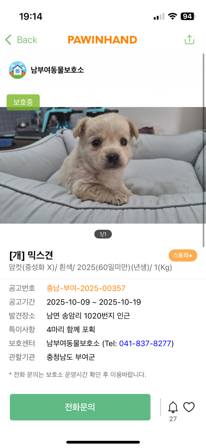 [잡담] 이 강아지 많이 커질까? ㅠㅠ | 인스티즈