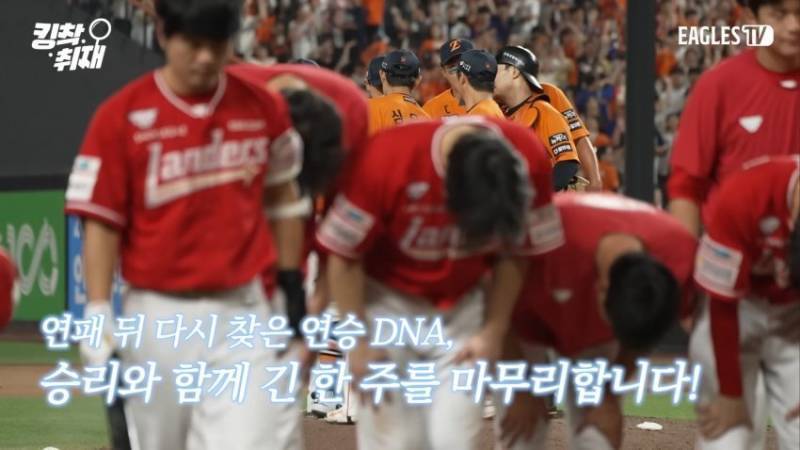[정리글] 내가 인티에서 본 올해 한화 관련 사건 모음 | 인스티즈