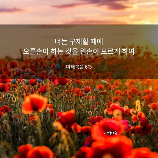 [잡담] 구제 | 인스티즈