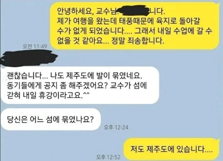 교수님 제가 결항으로 수업 참여가 힘듭니다 | 인스티즈
