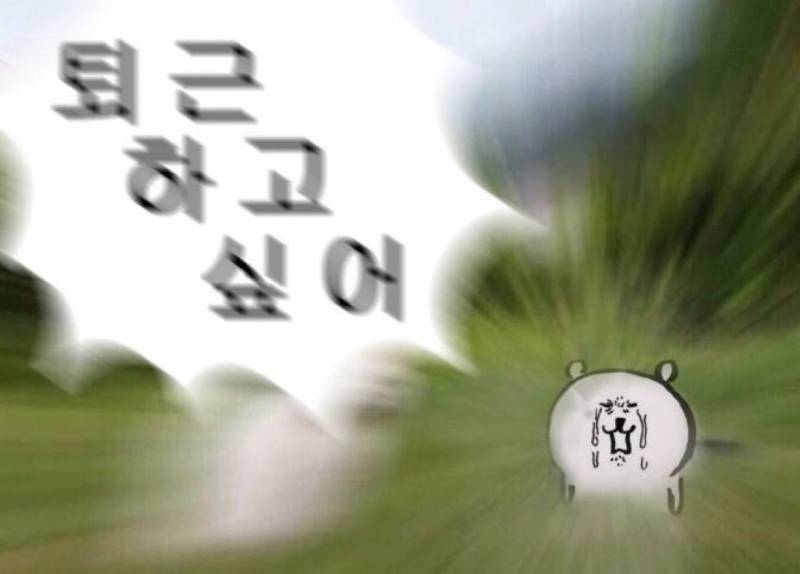 [잡담] 집 갈래 | 인스티즈