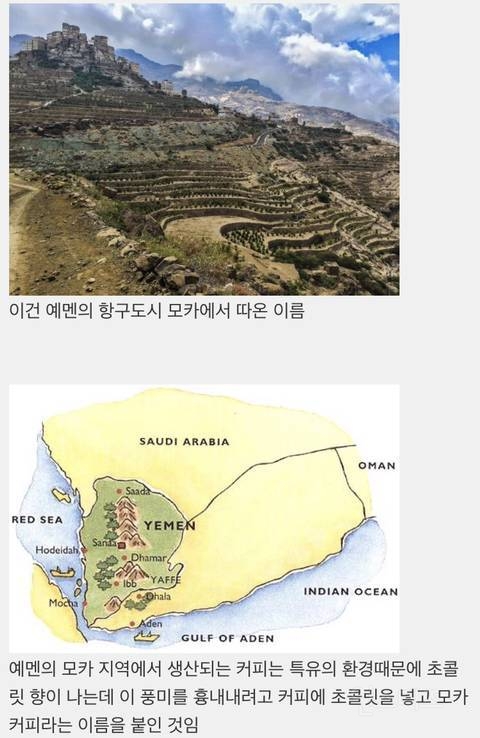 초콜릿 넣은 커피를 카페 모카라고 부르는 이유 | 인스티즈