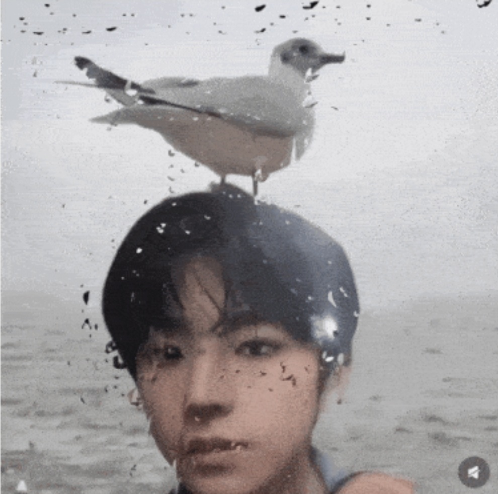 [잡담] 이분 아이돌이야? 누구지 | 인스티즈