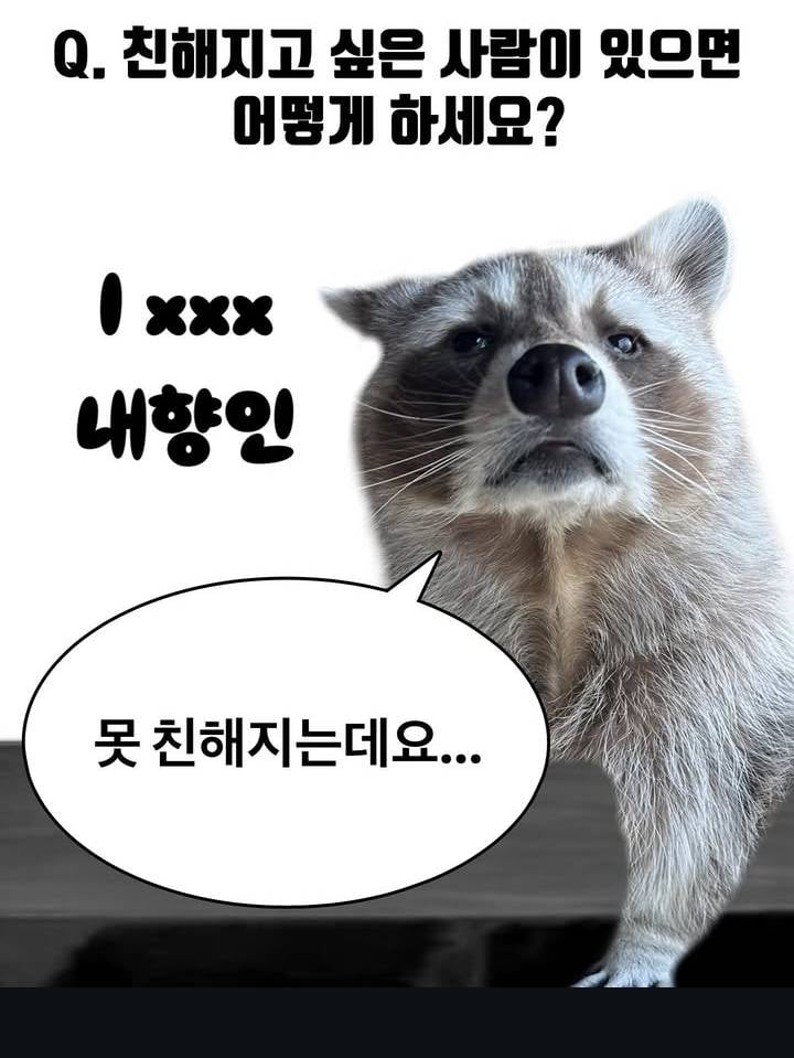 현재 서로 충격받고있는 내향인 특..JPG | 인스티즈
