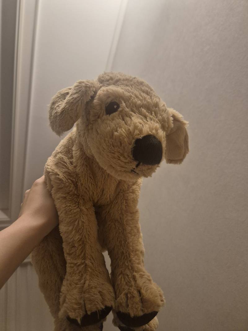 [잡담] 이케아 강아지는 너무 귀여워 | 인스티즈