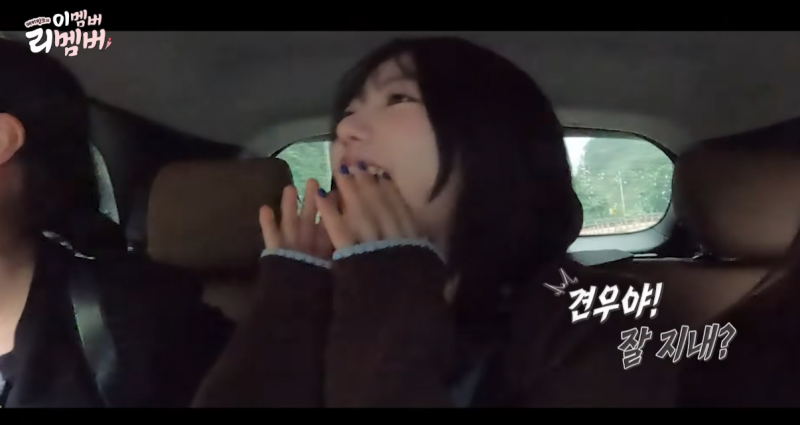 내향인은 타자마자 기절할 것 같은 에이핑크 차 | 인스티즈