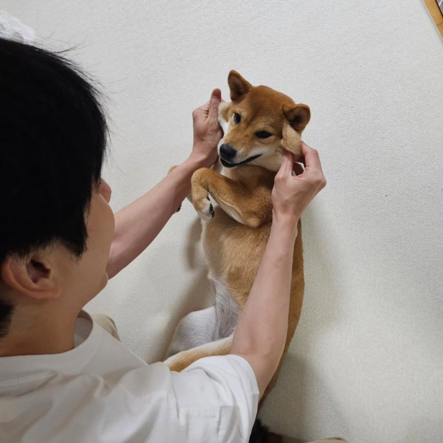 [잡담] 미남과 강아지와 아기의 조합은 늘 옳아 | 인스티즈