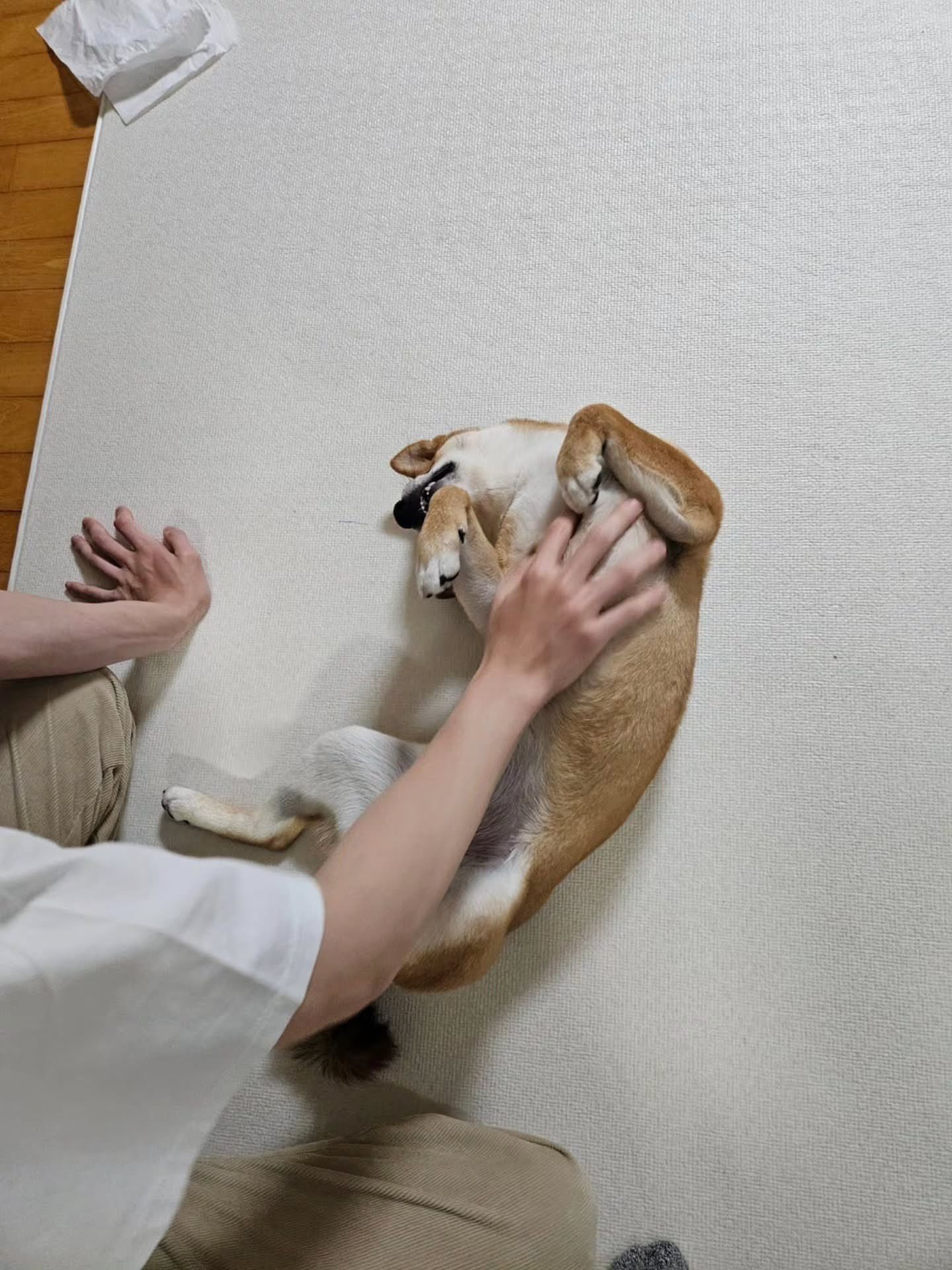 [잡담] 미남과 강아지와 아기의 조합은 늘 옳아 | 인스티즈