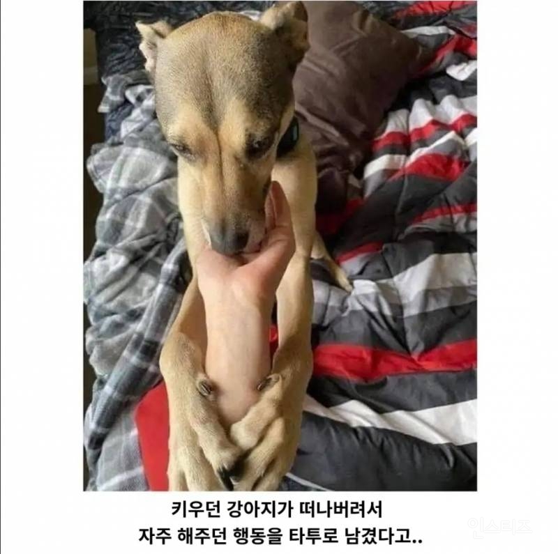 어느 남자의 특이한 타투 | 인스티즈