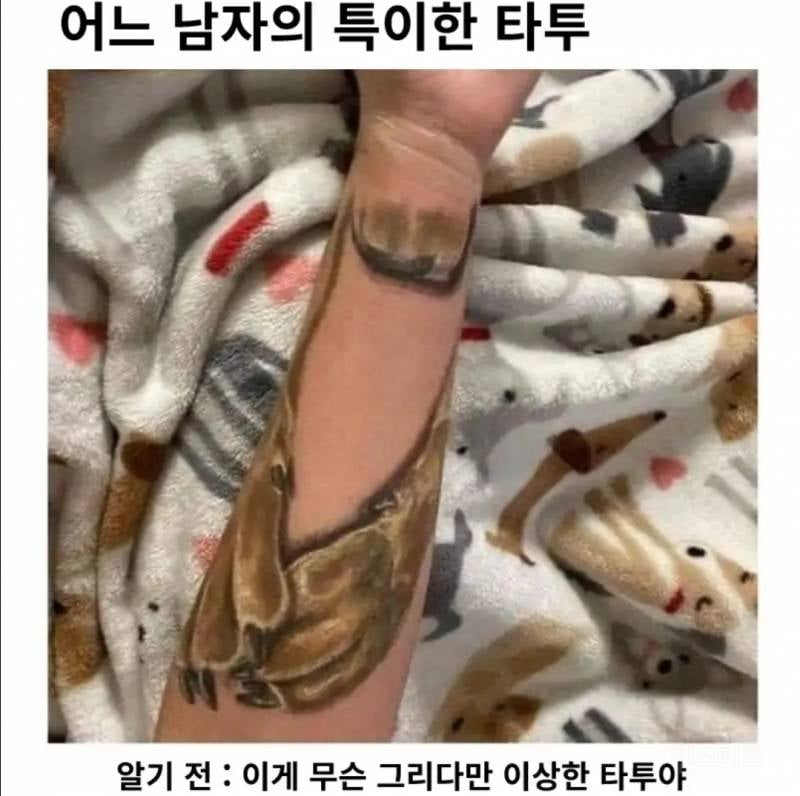 어느 남자의 특이한 타투 | 인스티즈