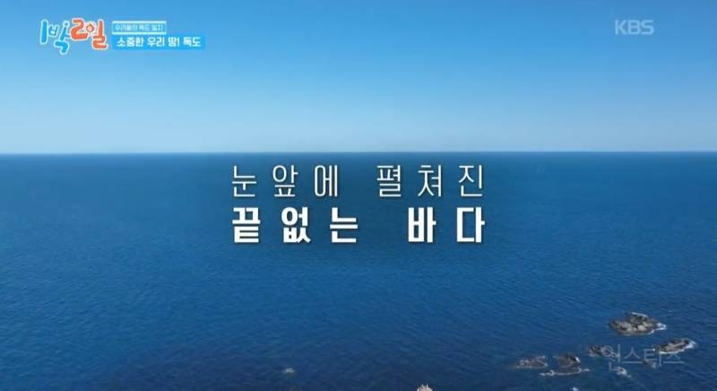 모든 사람이 꼭 봤으면 하는 1박2일 멤버들의 독도 방문기.jpg | 인스티즈