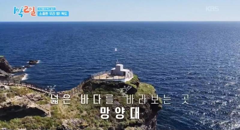 모든 사람이 꼭 봤으면 하는 1박2일 멤버들의 독도 방문기.jpg | 인스티즈