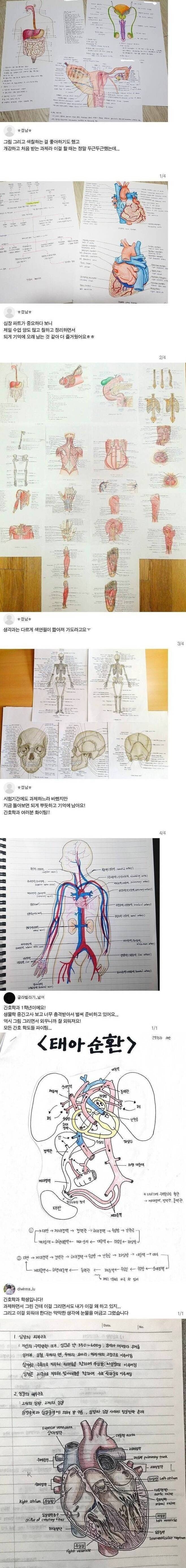 간호학과 학생들의 필기 수준 | 인스티즈