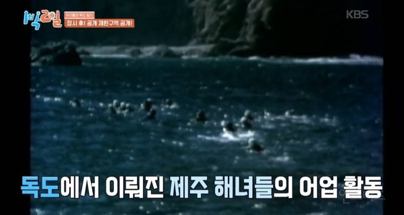 모든 사람이 꼭 봤으면 하는 1박2일 멤버들의 독도 방문기.jpg | 인스티즈