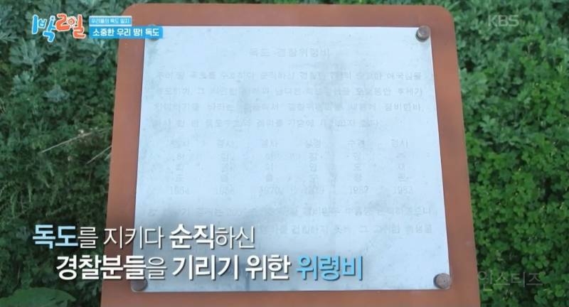 모든 사람이 꼭 봤으면 하는 1박2일 멤버들의 독도 방문기.jpg | 인스티즈