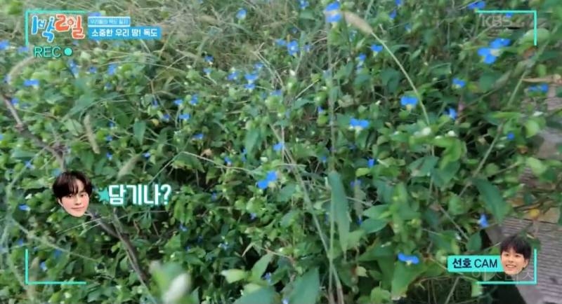 모든 사람이 꼭 봤으면 하는 1박2일 멤버들의 독도 방문기.jpg | 인스티즈