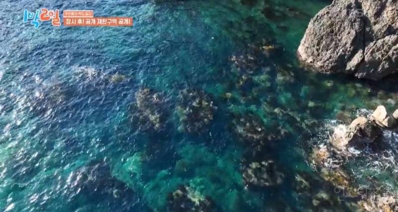 모든 사람이 꼭 봤으면 하는 1박2일 멤버들의 독도 방문기.jpg | 인스티즈