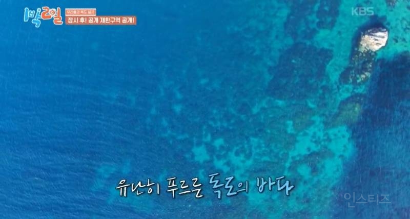 모든 사람이 꼭 봤으면 하는 1박2일 멤버들의 독도 방문기.jpg | 인스티즈